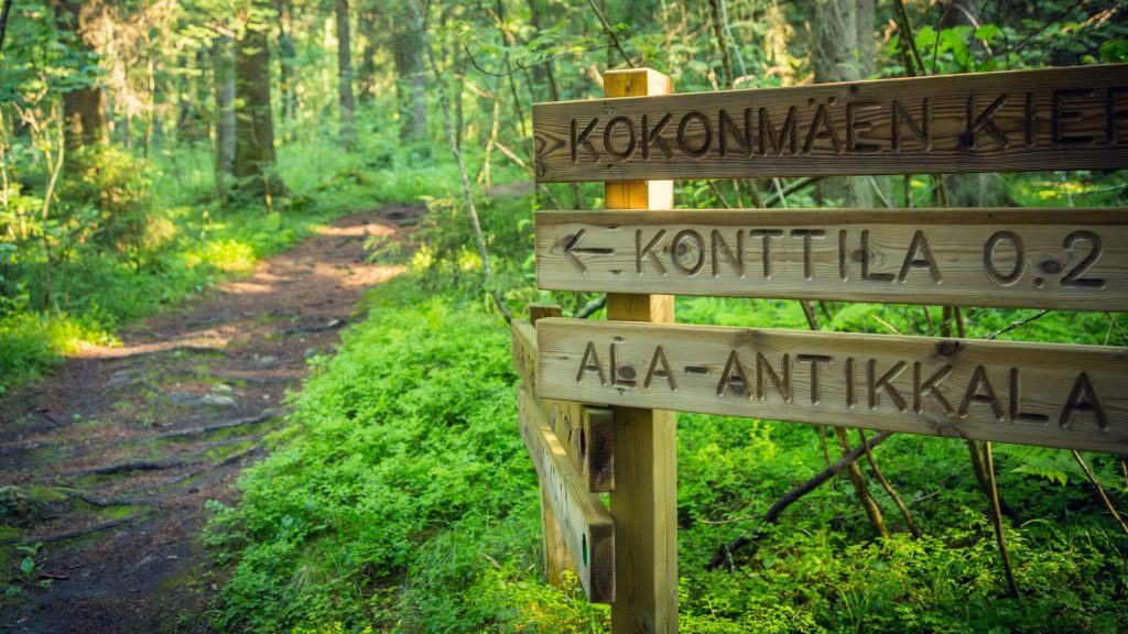 Kuopio_Puijo nature paths_web